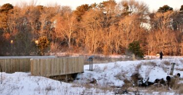 Robert F. Smith Cold Brook Preserve