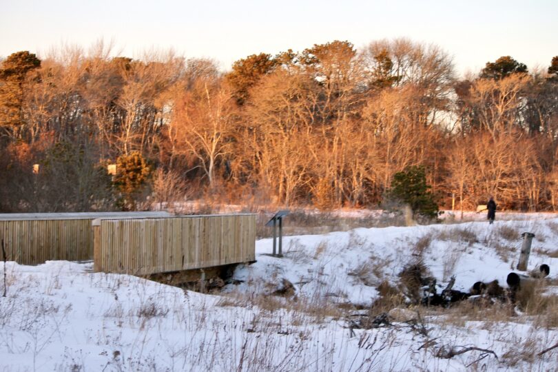 Robert F. Smith Cold Brook Preserve