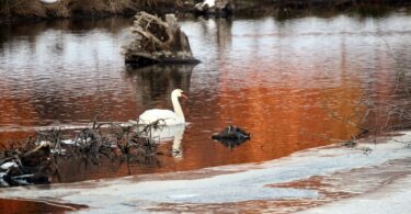 Robert F. Smith Cold Brook Preserve