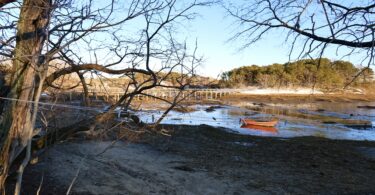 Hamblen Park & Uncle Tim's Bridge