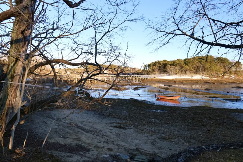 Hamblen Park & Uncle Tim's Bridge