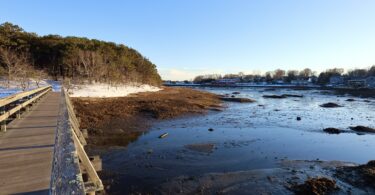 Hamblen Park & Uncle Tim's Bridge