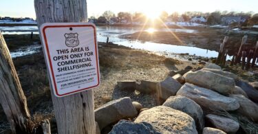 Hamblen Park & Uncle Tim's Bridge