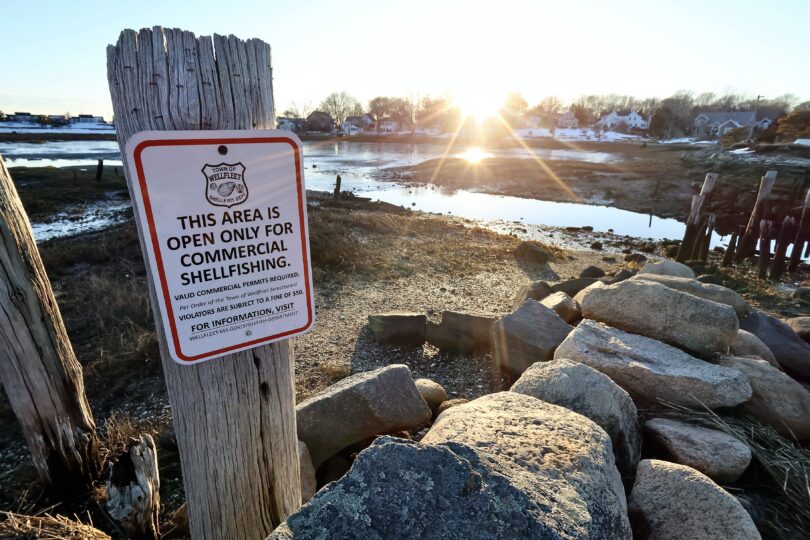 Hamblen Park & Uncle Tim's Bridge