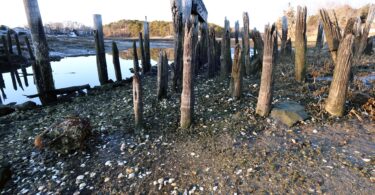 Hamblen Park & Uncle Tim's Bridge
