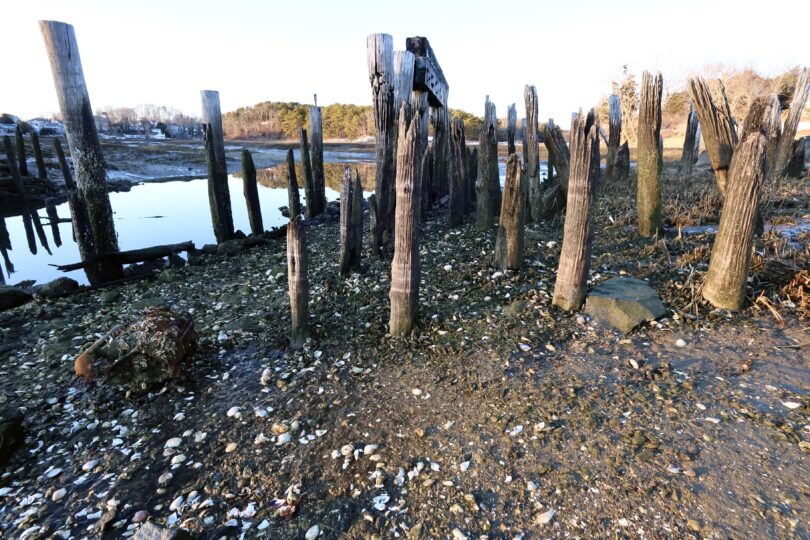 Hamblen Park & Uncle Tim's Bridge