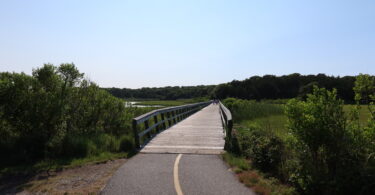 Bike path to Coast Guard Beach