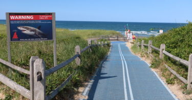 Bike path to Coast Guard Beach