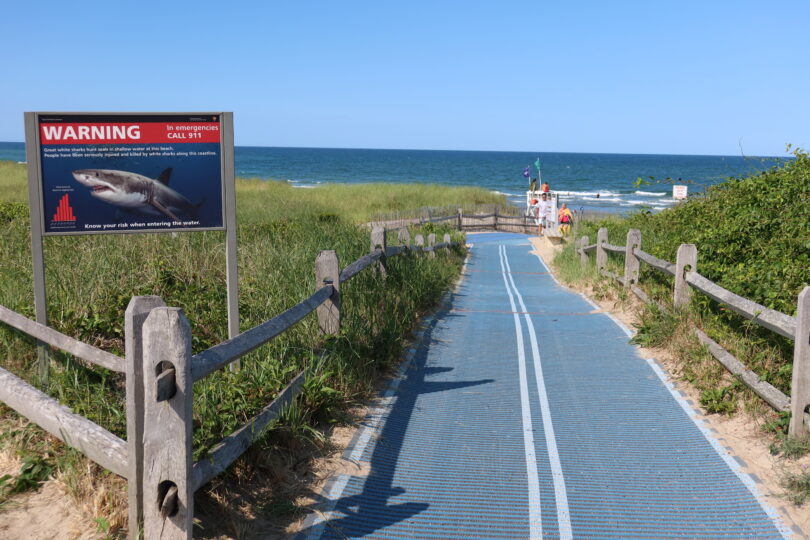 Bike path to Coast Guard Beach