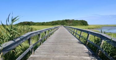 Bike path to Coast Guard Beach