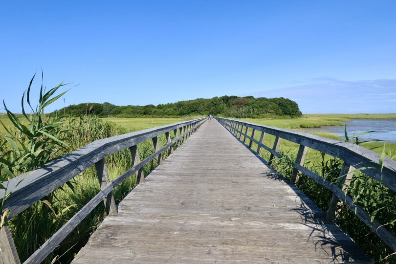 Bike path to Coast Guard Beach