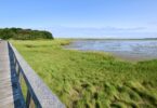 Bike path to Coast Guard Beach