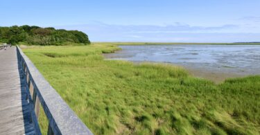 Bike path to Coast Guard Beach