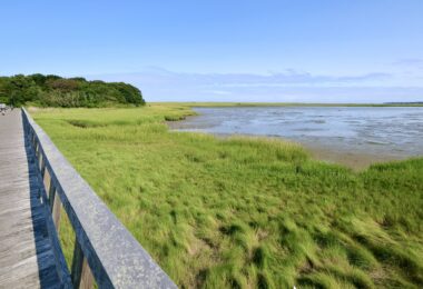 Bike path to Coast Guard Beach