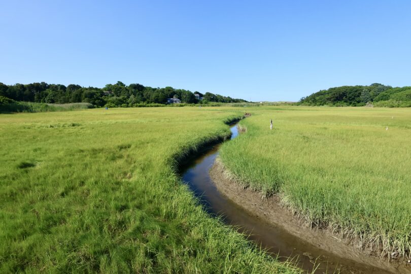 Bike path to Coast Guard Beach